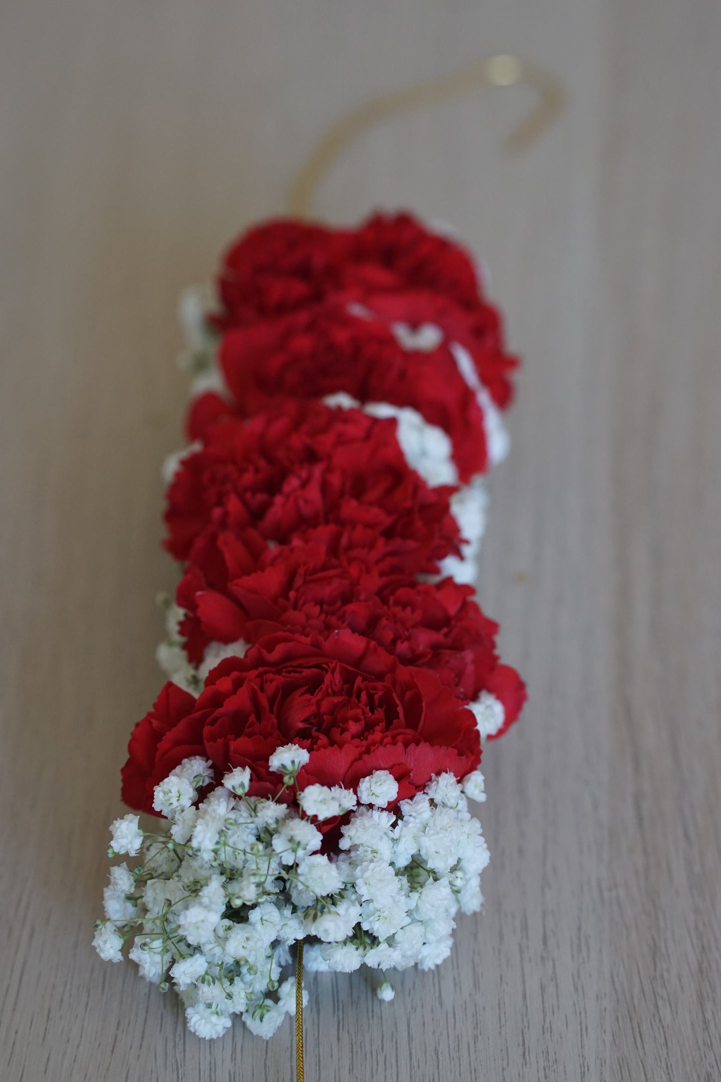 Baby's Breath Veni with Carnations