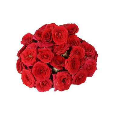 Pooja Red Small Size Roses