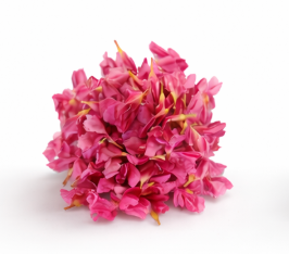 Arali / Ganneru (Loose Flowers)