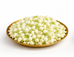 Jasmine Loose (Mallige)