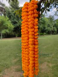 Marigold Flower String (Orange / Banthi Poolu)